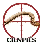 Resultado
