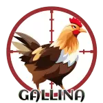 Resultado