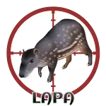 Resultado