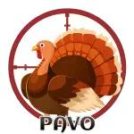 Resultado