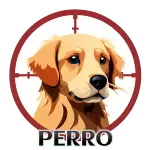 Resultado