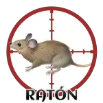 Resultado