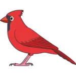 Animalito Cardenal número 95 - Centena Plus 11 de Octubre de 2026
