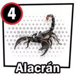 Animalito Alacrán número 4 - Chance Con Animalitos 26 de Agosto de 2026