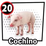 Resultado