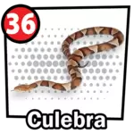 Animalito Culebra número 36 - Chance Con Animalitos 26 de Agosto de 2026