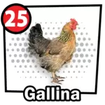 Resultado