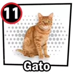 Resultado