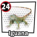 Resultado