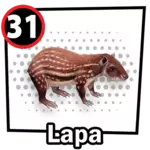 Resultado