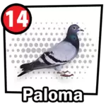 Resultado