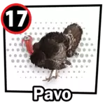Resultado