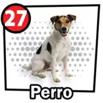 Animalito Perro número 27 - Chance Con Animalitos 11 de Octubre de 2026