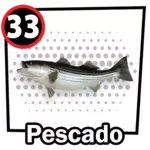 Resultado