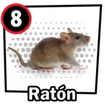 Resultado