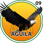Resultado