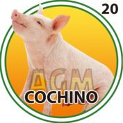 Resultado