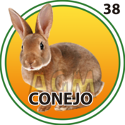 Resultado