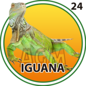 Resultado