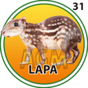 Animalito Lapa número 31 - Granja Millonaria 12 de Octubre de 2026