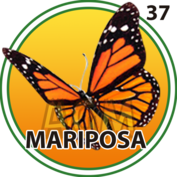 Resultado