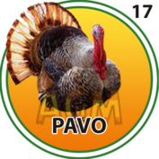 Animalito Pavo número 17 - Granja Millonaria 15 de Septiembre de 2026