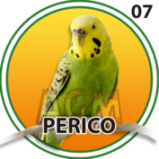 Resultado