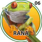 Animalito Rana número 6 - Granja Millonaria 28 de Agosto de 2026