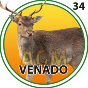 Resultado