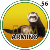 Animalito Armiño número 56 - Granjazo 12 de Octubre de 2026