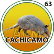 Resultado