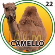 Animalito Camello número 22 - Granjazo 09 de Septiembre de 2026