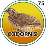 Animalito Codorniz número 75 - Granjazo 28 de Agosto de 2026