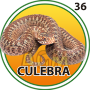 Resultado