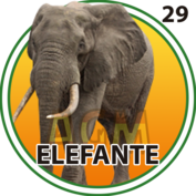 Animalito Elefante número 29 - Granjazo 28 de Agosto de 2026