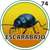 Animalito Escarabajo número 74 - Granjazo 12 de Octubre de 2026