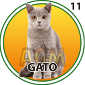 Animalito Gato número 11 - Granjazo 28 de Agosto de 2026