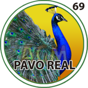 Animalito Pavo Real número 69 - Granjazo 28 de Agosto de 2026