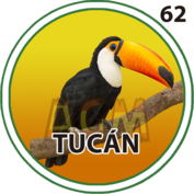 Resultado