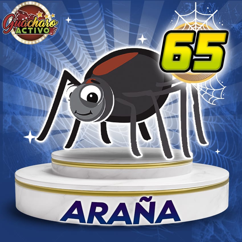 65 Arana Guacharo Activo