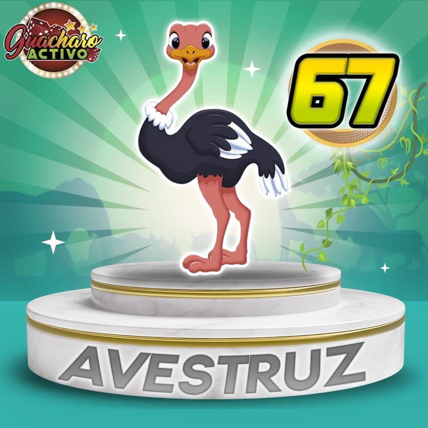 67 Avestruz Guacharo Activo