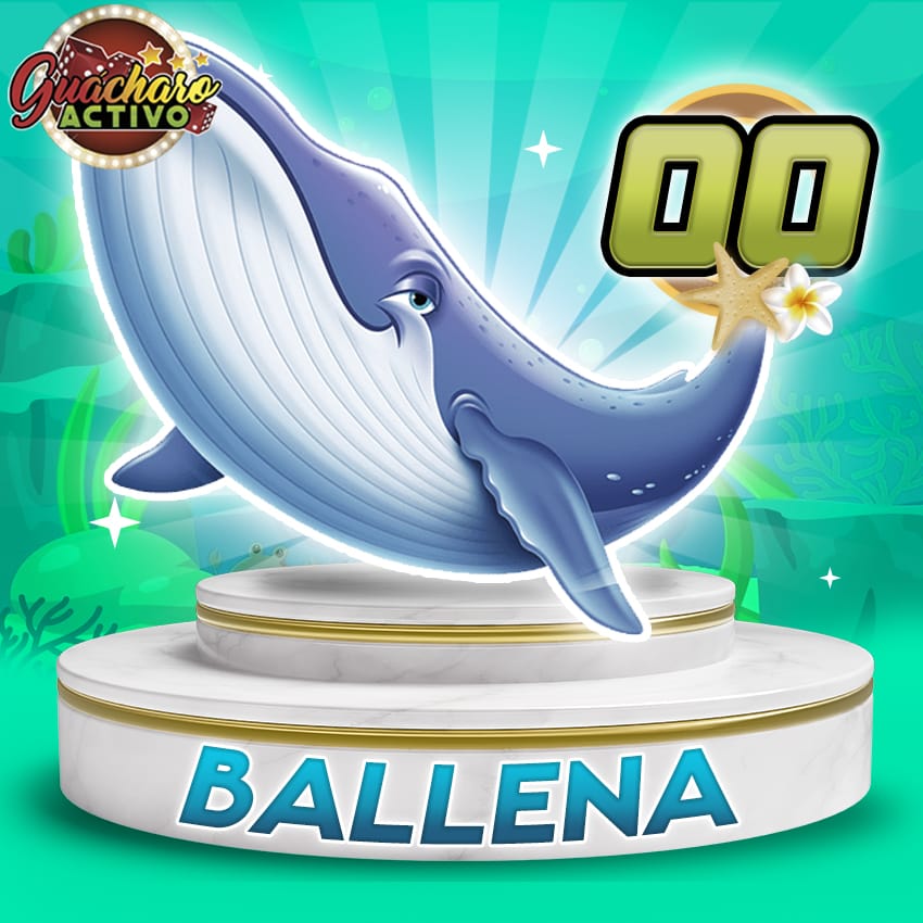 00 Ballena Guacharo Activo