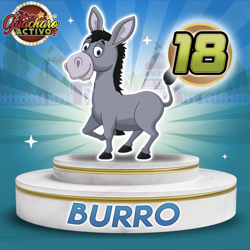 18 Burro Guacharo Activo