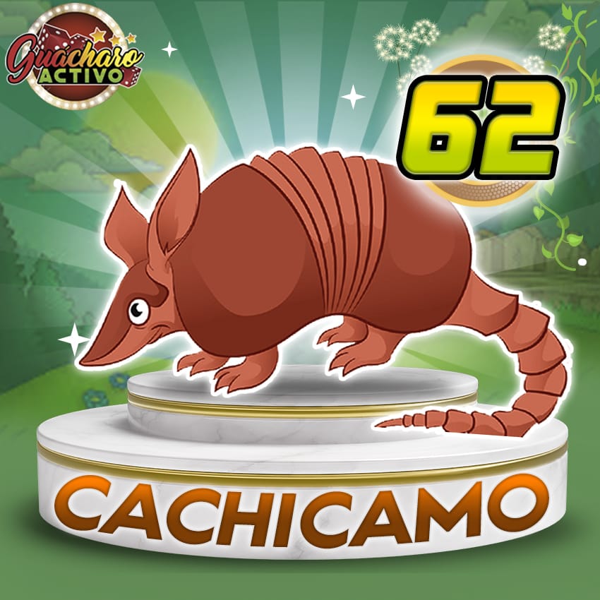 62 Cachicamo Guacharo Activo