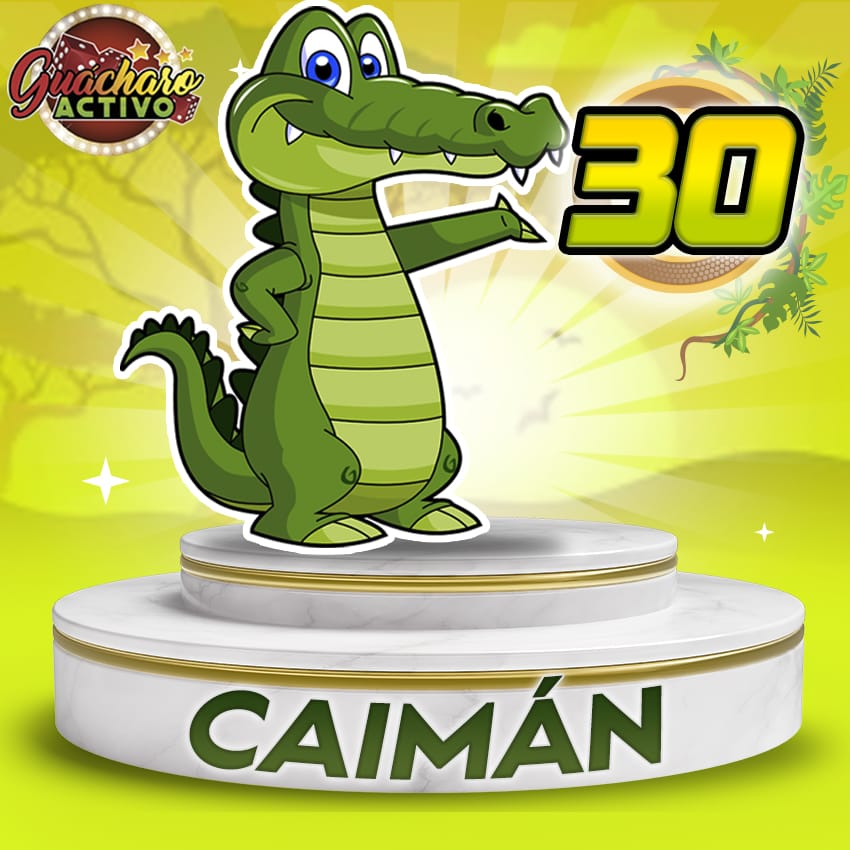 30 Caiman Guacharo Activo