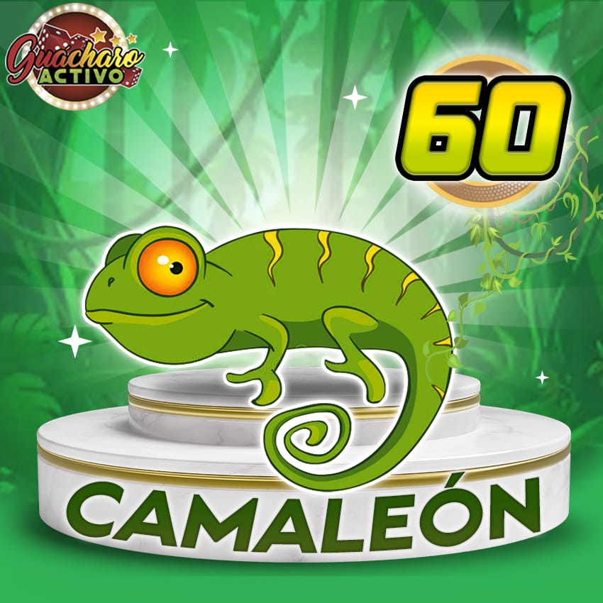60 Camaleon Guacharo Activo