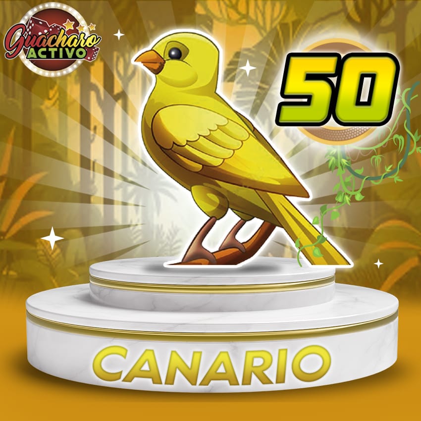 Resultado