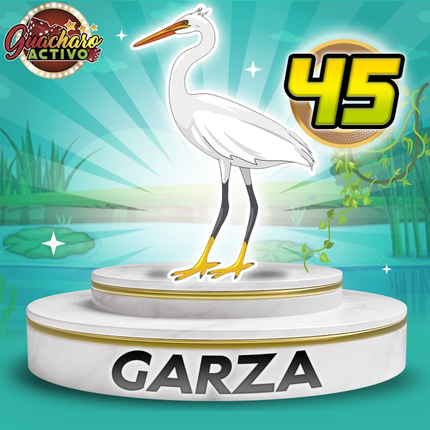 45 Garza Guacharo Activo