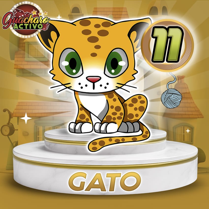 11 Gato Guacharo Activo