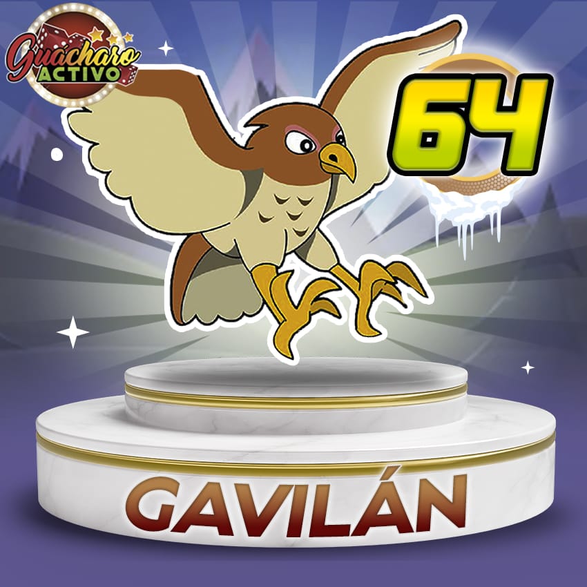 64 Gavilan Guacharo Activo